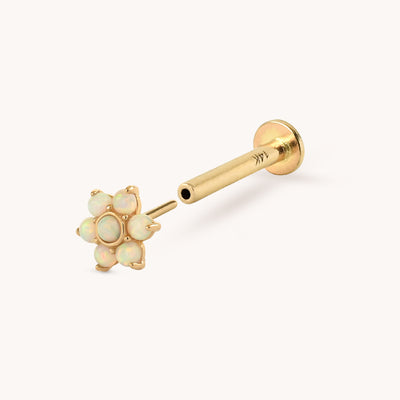 ORO 14K-PIERCING-Bohoo Jewelry-Bohoo Accesorios